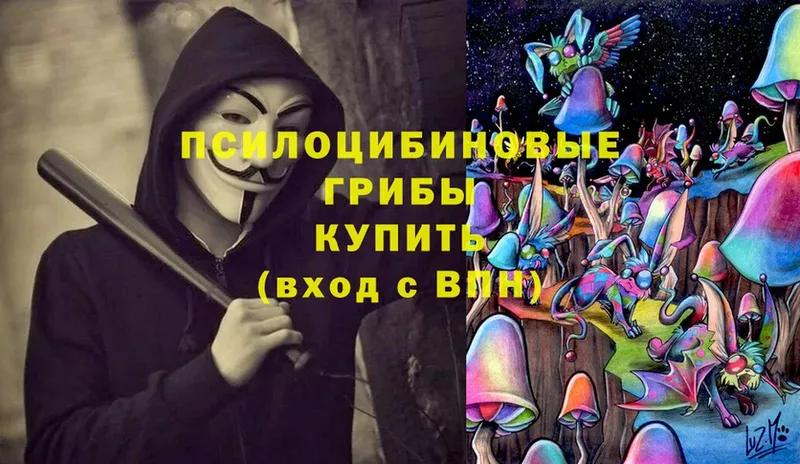 Галлюциногенные грибы Cubensis  Калач-на-Дону 